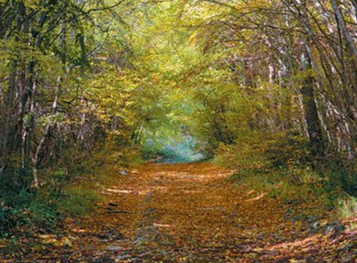 Kaiserwald PUY Exterior foto